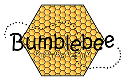 Bumblebee Photography